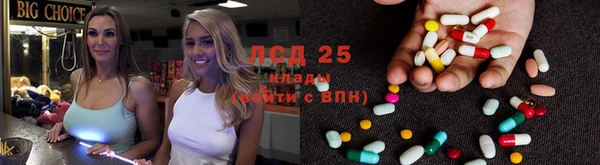прущие крисы Алексеевка