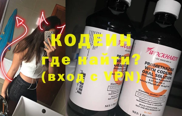 дурь Алексин